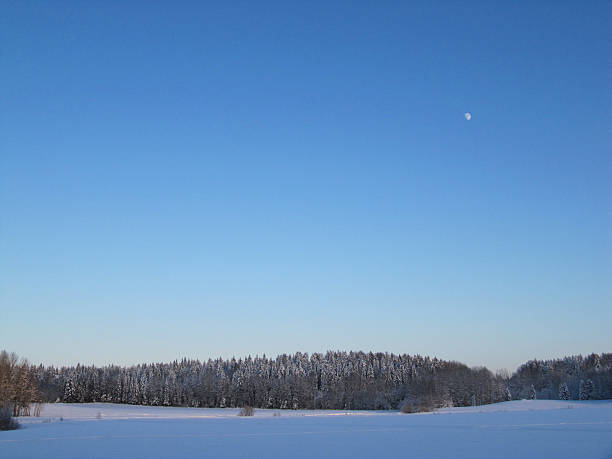 Winter Field stock photo