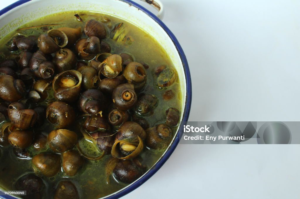 Pila ampullacea soup Tutut Stew,Traditional Food from Indonesia, Made from Tutut is a kind of freshwater slug.often consumed as a source of protein,This food popular in West Java, easy to find during ramadhan. bright mood Agriculture Stock Photo