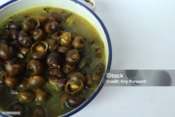 Pila Ampullacea Soup Stock Photo - Download Image Now - Agriculture, Animal, Animal Shell