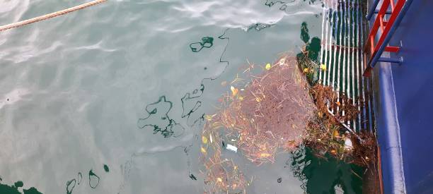 istock Trash on the stern of the ship 1470941643