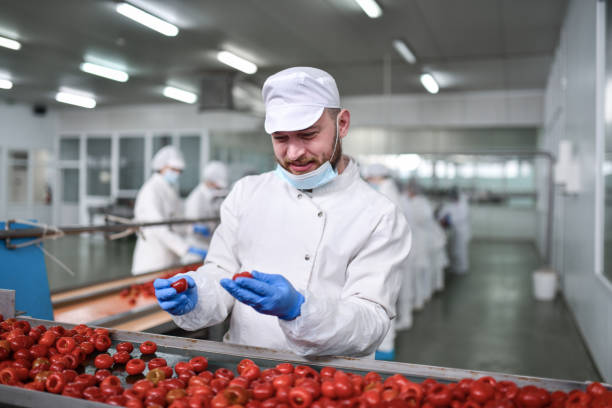istock Bearded Male Worker On Production Line Comparing Pepper Quality 1470941673