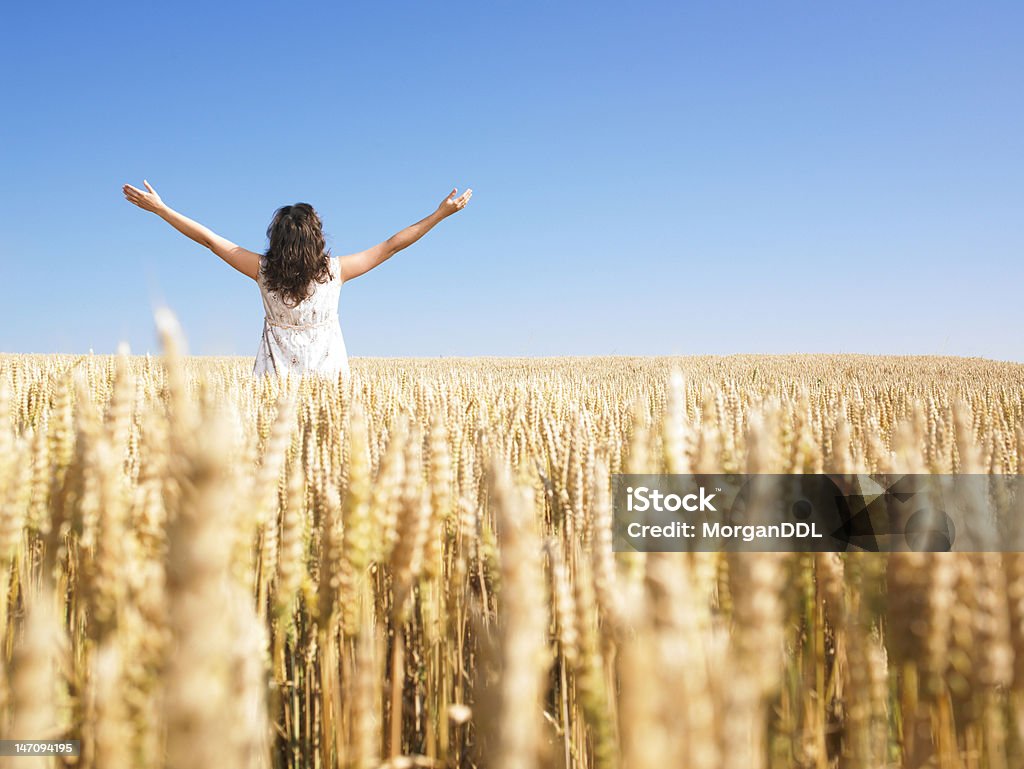 Woman in Wheat Field mit Ausgestreckte Arme - Lizenzfrei Arme hoch Stock-Foto