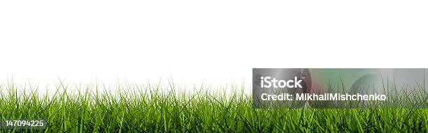 草のクローズアップ - 芝草のストックフォトや画像を多数ご用意 - 芝草, カットアウト, 枠