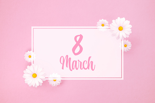 8 March message and white daisies on pink background. Horizontal composition with copy space. International Women's Day concept.