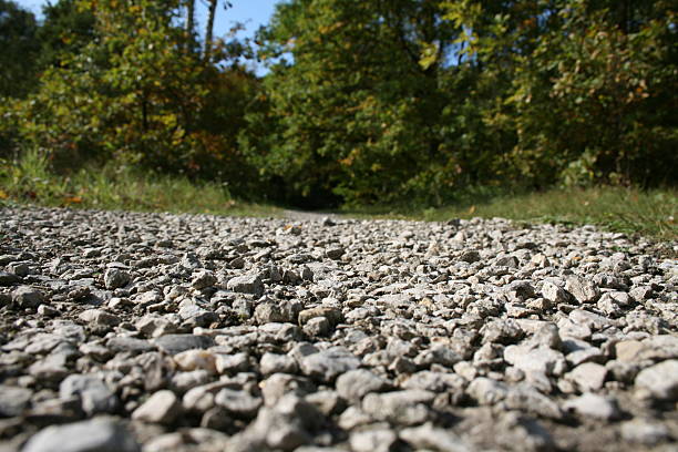 istock Gray gravel path with forest 147094450