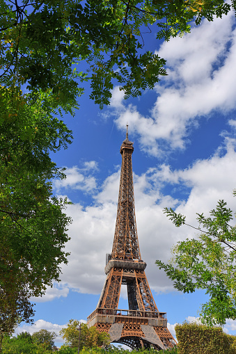 Eiffel Tower in summer season with the frame of trees, Paris. France