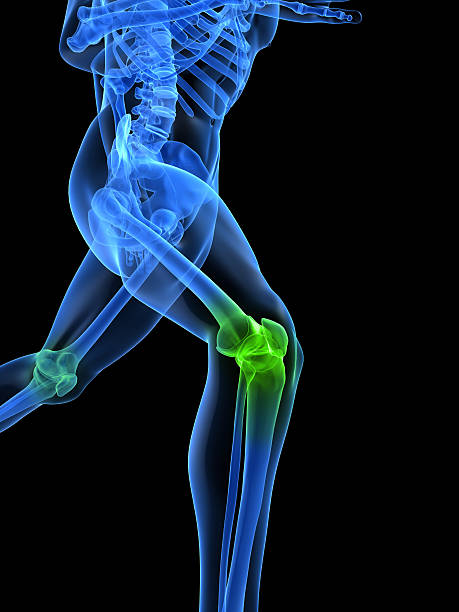 zdrowe kolano - x ray human knee orthopedic equipment human bone zdjęcia i obrazy z banku zdjęć