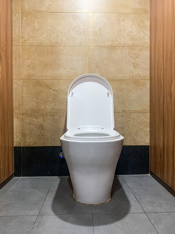 Toilet seat in a public restroom