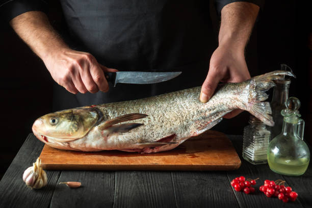 istock The chef prepares silver carp in the restaurant kitchen. Preparation for cutting fish with a knife. Work environment on the kitchen table. 1470948460