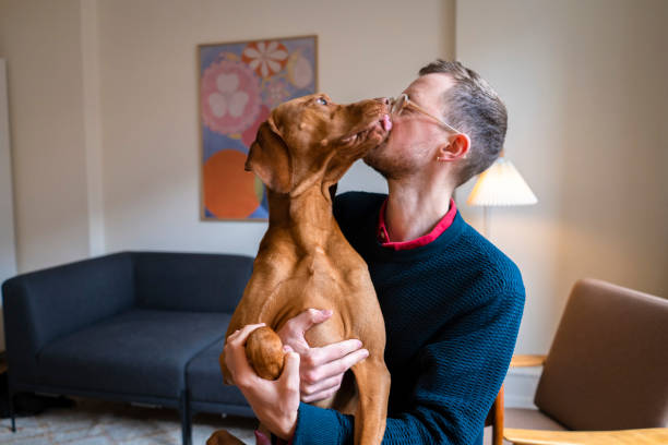 istock Dog licking owner in the face 1470948574