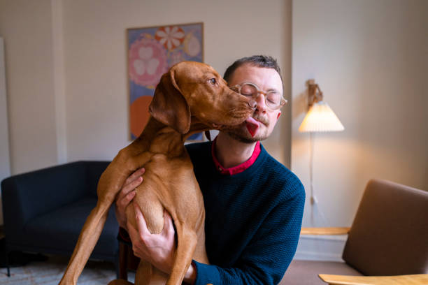 istock Loving dog licks owner in the face 1470948579