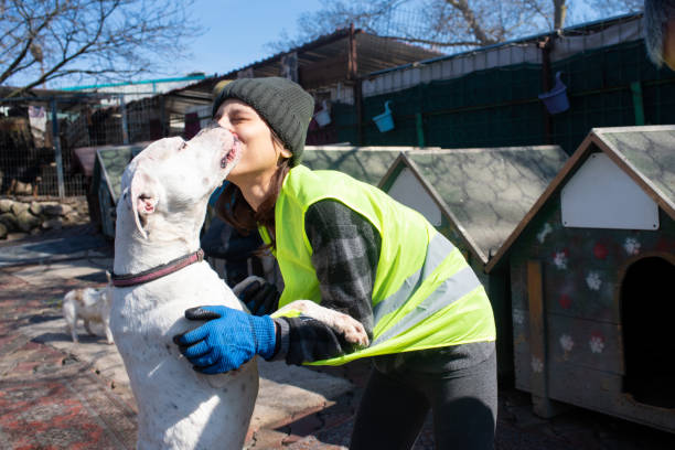 Animal shelter volunteer caring for dog