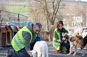Animal shelter volunteers