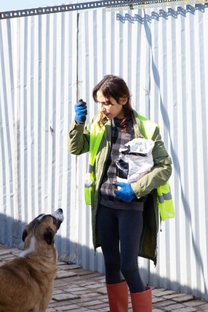 istock Animal shelter volunteer at work 1470950162