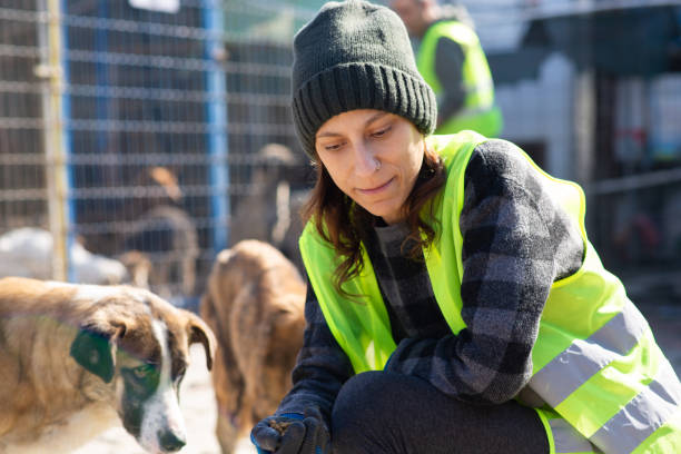 istock Animal shelter volunteers 1470950379