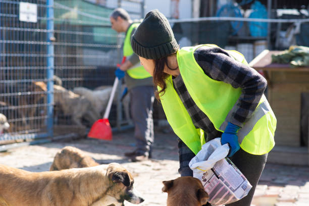 istock Animal shelter volunteers 1470950393