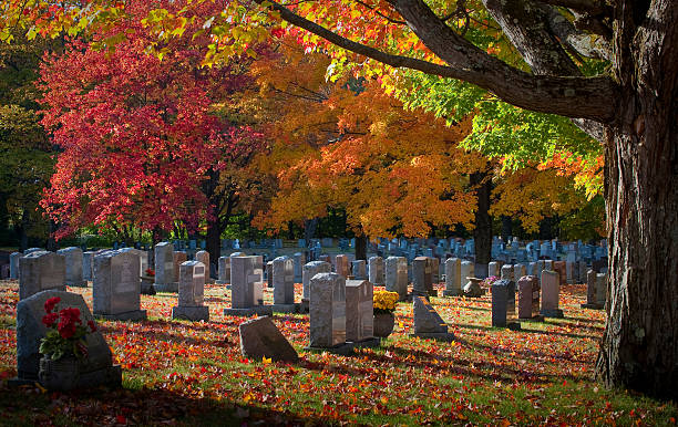 istock Colorful red orange yellow fall leaves at cemetery 147095095