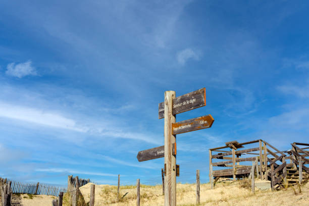 istock Pedestrian route in the dunes facing the Atlantic Ocean, marram grass 1470951116
