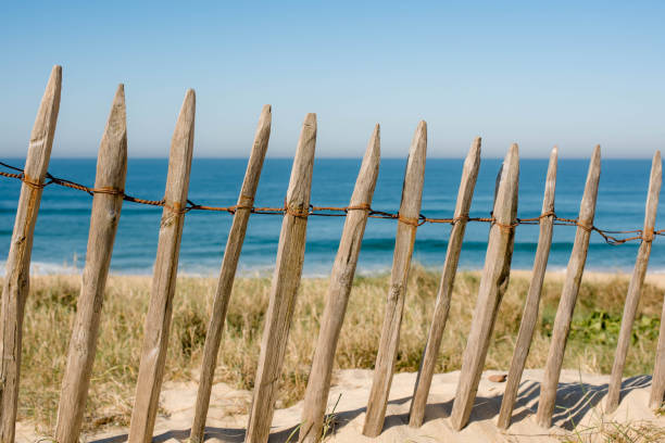 istock Ganivelles in the dunes facing the Atlantic Ocean 1470951440
