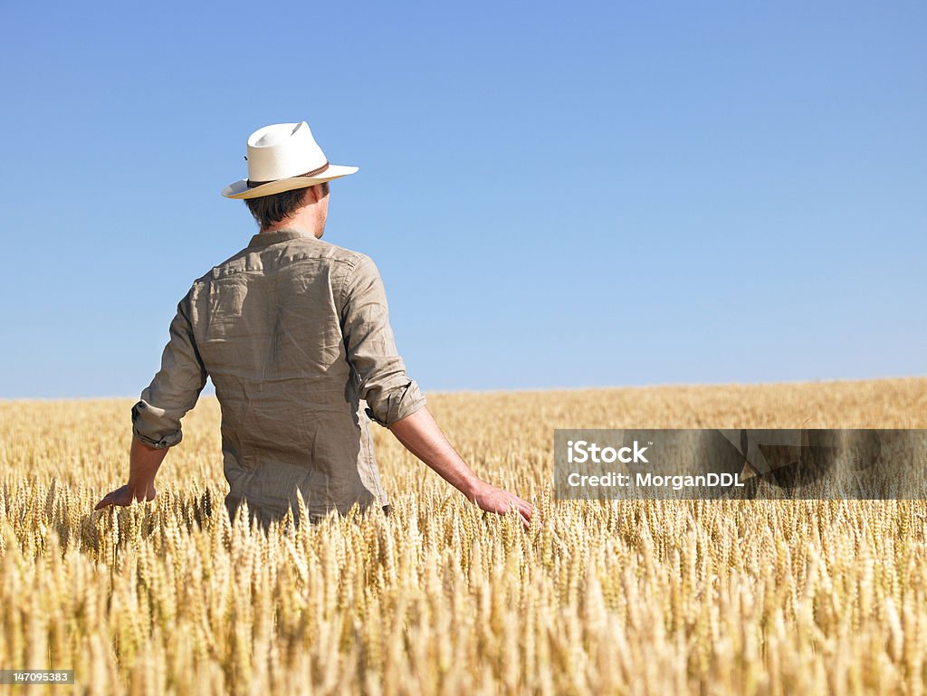 Hombre de campo de trigo - Foto de stock de 20 a 29 años libre de derechos