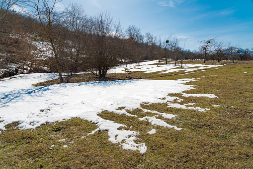 Melting snow in early spring and the first thaw