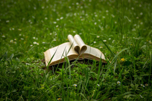 istock Close up heart shape from paper book on grass field 1470955144