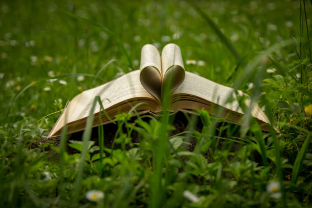 istock Close up heart shape from paper book on grass field 1470955191