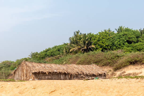 This image captures the scenic Chapora River in Goa, a waterway that winds its way through various towns and villages, reflecting both the natural beauty and the vibrant local culture of the region. Boats of various sizes and purposes can be seen moored along the riverbanks or gliding across the water, ranging from small fishing boats to larger vessels designed for river cruises. The photograph also highlights the towns that line the river, each offering its own unique blend of architecture, from traditional Goan houses to more modern structures. The image aims to give viewers a comprehensive view of life along the Chapora River, showcasing its role as both a natural resource and a hub of local activity.
