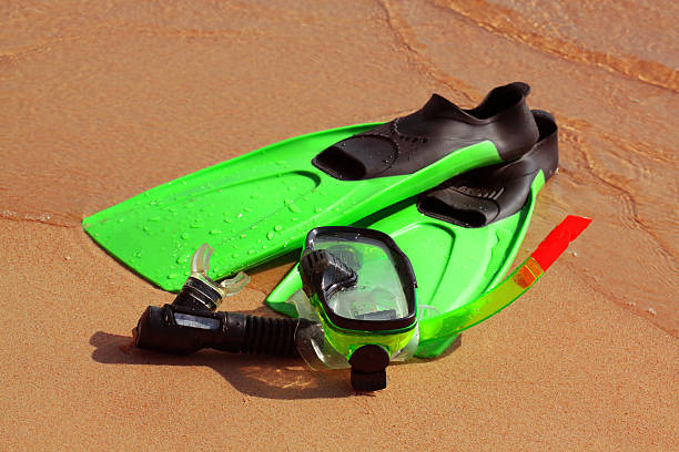 Mask, flippers and tube for swimming stock photo