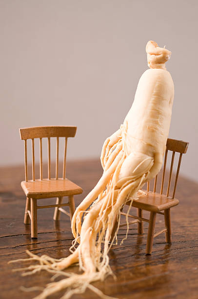 チョウセンニンジン根本原因 - ginseng vegetable chair panax ストックフォトと画像