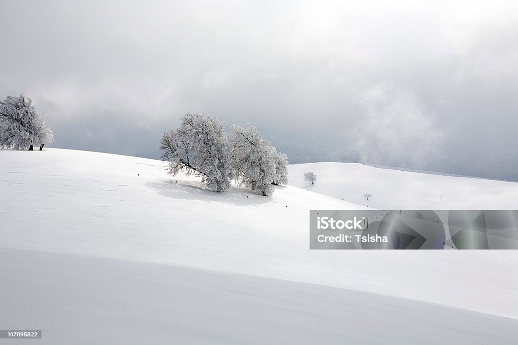 Schauinsland Schauinsland, Winter, Black Forest Baden-Württemberg Stock Photo