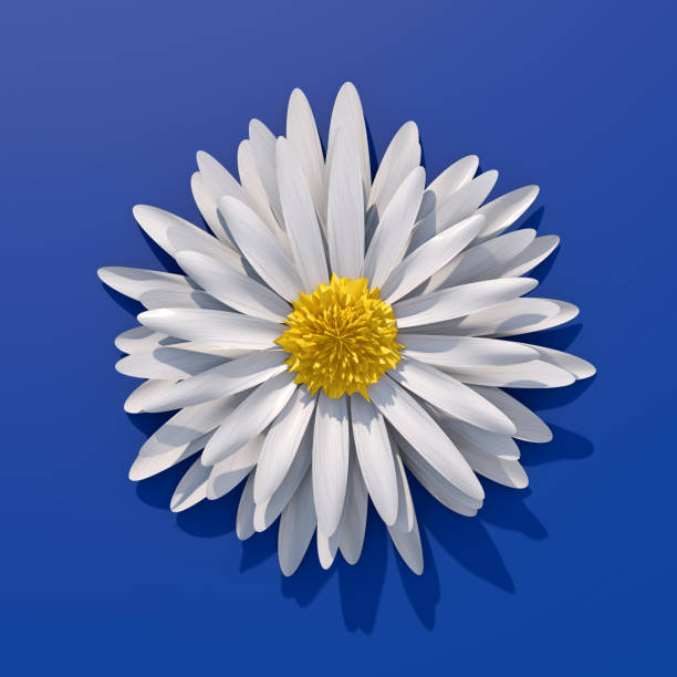 istock White flower on blue background. Abstract illustration, 3d render. 1470960284