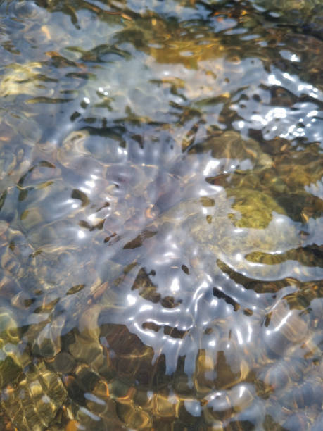istock beautiful river and clean water 1470962243