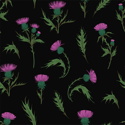 Thistle plant. Seamless pattern. Colorful illustration for fabric, paper design