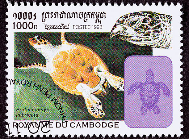 istock Canceled Cambodian Postage Stamp Swimming Hawksbill Sea Turtle, Eretmochelys Imbricata 147096851