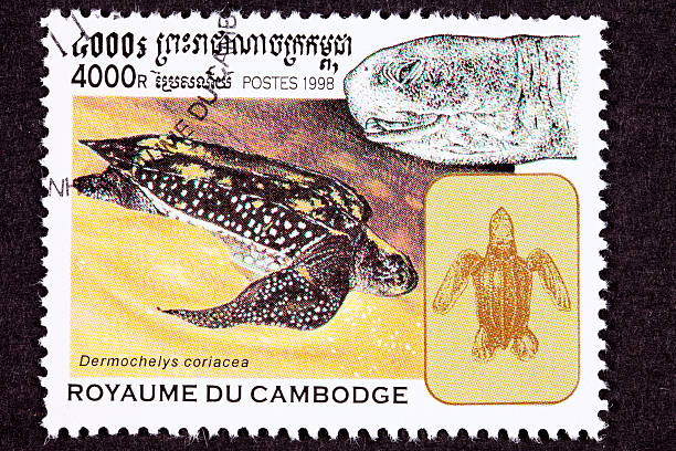 istock Canceled Cambodian Postage Stamp Swimming Leatherback Sea Turtle, Dermochelys Coriacea 147096906