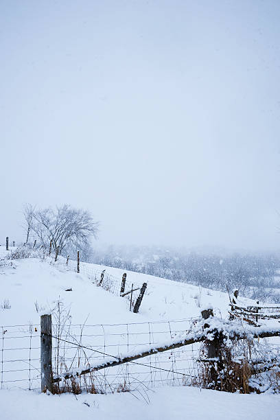 Country Snowfall stock photo