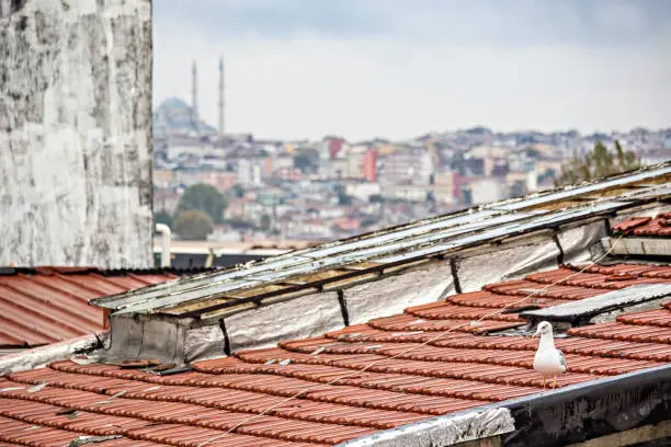 Aerial view of Istanbul city from the roof at Taksim area, Turkey