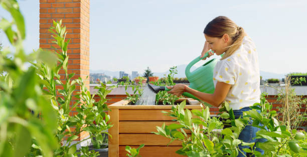 istock Woman watering plants 1470970463