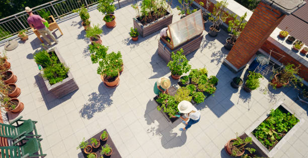 istock Four people working on roof garden 1470970465