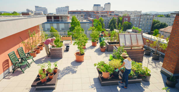 istock People working on roof garden 1470970475