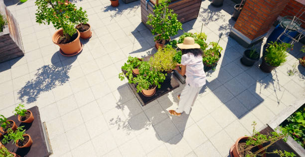 istock Woman working on rooftop garden 1470970498