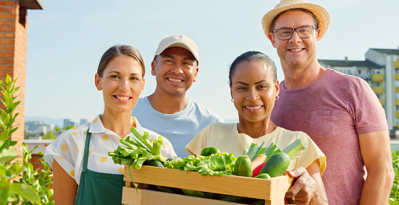 Portrait of smiling men and women holding crate of fresh vegetables while standing on rooftop garden.