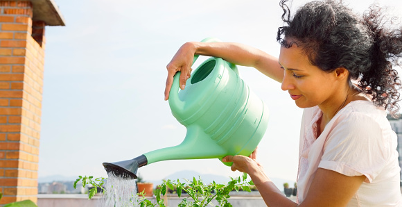 Close-up of smiling woman watering plants while standing on rooftop vegetable garden during sunny day.