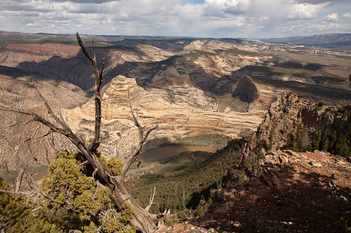 Along the Harper’s Corner trail in Dinosaur National Monument in Colorado, a view to the east reveals Echo Park where the Green and Yampa Rivers meet at Steamboat Rock in towering sandstone canyons.