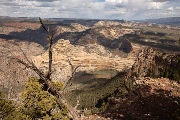 Green and Yampa River canyons Dinosaur National Monument Colorado stock photo