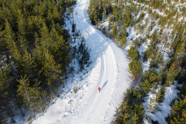 istock Woman walking on a small road through a forest in winter 1470971606