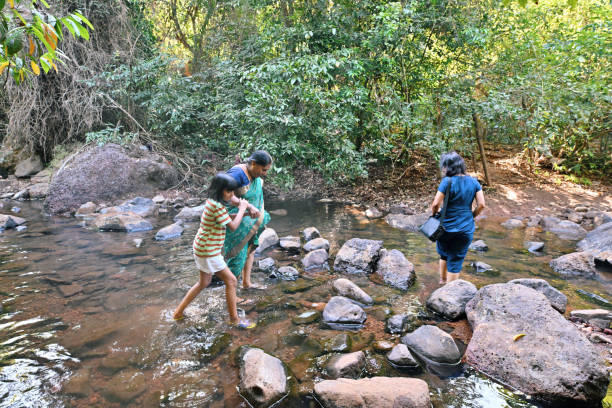istock Multi-generation family hiking through the stream in a jungle 1470972430
