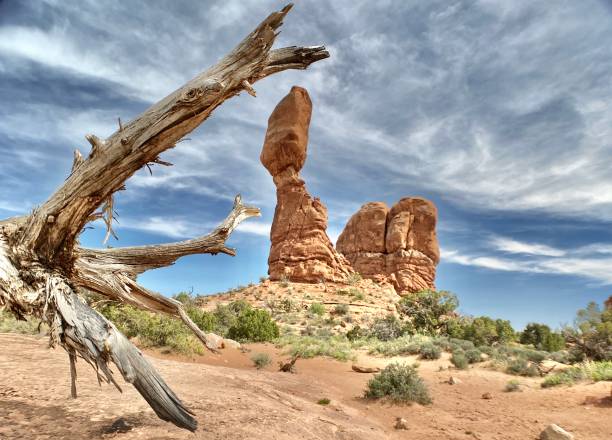 balanced rock est une formation rocheuse de grès d’entrada dans le parc national des arches. - usa arches national park balanced rock colorado plateau photos et images de collection