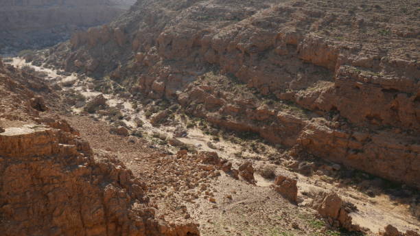 istock Valley Mamshit(Wadi) at Mamshit National Park, Israel 1470975511